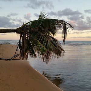 Meet your Posher, Jodi